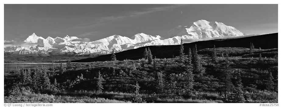 Tundra landscape with Mount McKinley. Denali National Park (black and white)