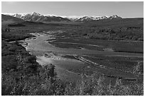 Savage River in autumn. Denali National Park ( black and white)
