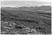 View from Savage Alpine Trail in autumn. Denali National Park ( black and white)