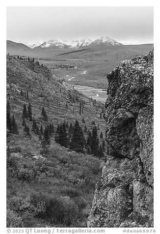 Rock outcrop, Savage River, and Alaska Range. Denali National Park (black and white)