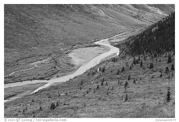 Savage River from above. Denali National Park (black and white)