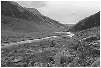 Savage River Valley in autumn. Denali National Park ( black and white)