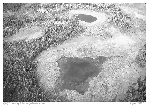 Aerial view of lake, tundra and taiga. Gates of the Arctic National Park (black and white)