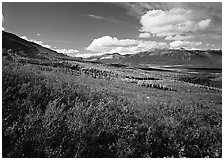Alatna River valley. Gates of the Arctic National Park ( black and white)