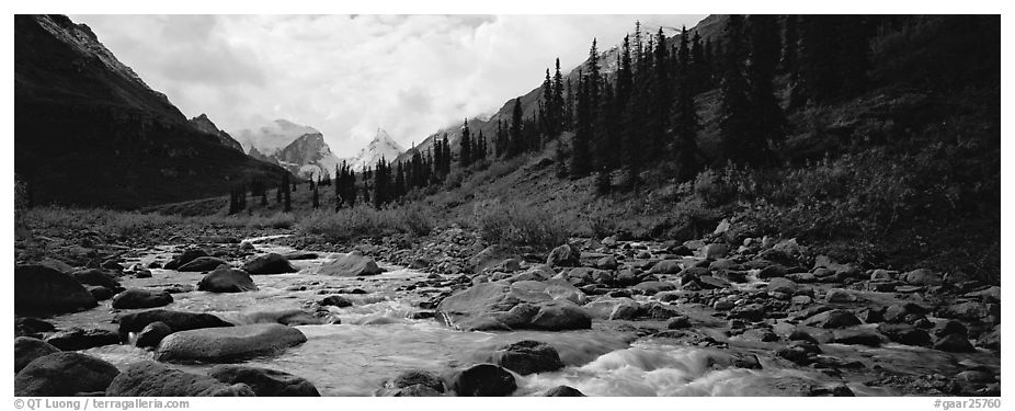 Taiga scenery with stream. Gates of the Arctic National Park, Alaska ...