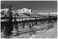 Winter landscape. Gates of the Arctic National Park, Alaska, USA. (black and white)