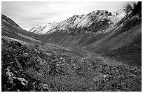 Aquarius Valley near Arrigetch Peaks. Gates of the Arctic National Park, Alaska, USA. (black and white)