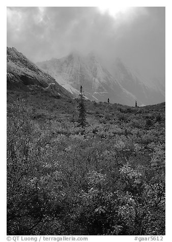Tundra and Arrigetch Peaks in fog. Gates of the Arctic National Park, Alaska, USA.