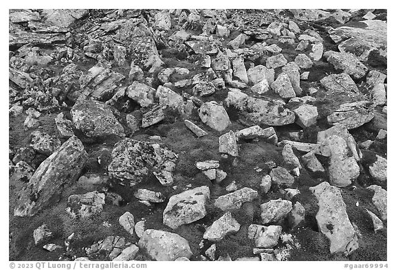 Angular rocks and mosses. Gates of the Arctic National Park (black and white)
