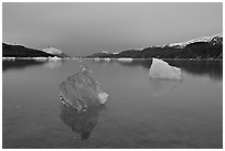 Translucent iceberg near Mc Bride glacier, Muir inlet. Glacier Bay National Park, Alaska, USA. (black and white)