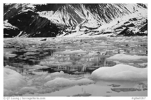 Ice-chocked waters in John Hopkins inlet. Glacier Bay National Park (black and white)
