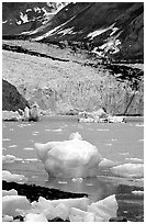 Mc Bride glacier. Glacier Bay National Park, Alaska, USA. (black and white)