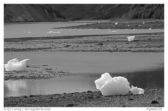Icebergs and mud flats near Mc Bride glacier. Glacier Bay National Park (black and white)