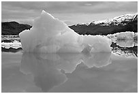 Blue iceberg, Mc Bride inlet. Glacier Bay National Park, Alaska, USA. (black and white)