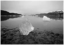 Beached translucent iceberg and Muir inlet at dawn. Glacier Bay National Park, Alaska, USA. (black and white)