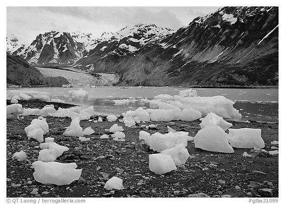 Beached icebergs and McBride Glacier. Glacier Bay National Park (black and white)