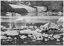 Icebergs, McBride Inlet, and McBride Glacier. Glacier Bay National Park, Alaska, USA. (black and white)
