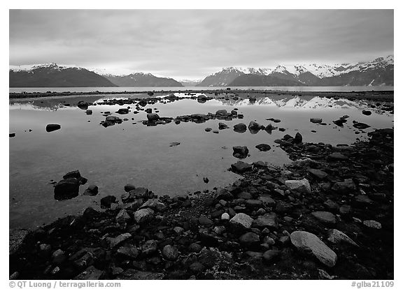 Accross the West arm from near Scidmore bay. Glacier Bay National Park (black and white)
