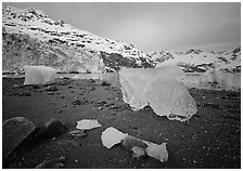 Translucent icebergs at the base of Lamplugh Glacier, morning. Glacier Bay National Park, Alaska, USA. (black and white)