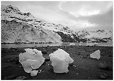 Lamplugh glacier and Mt Cooper. Glacier Bay National Park, Alaska, USA. (black and white)