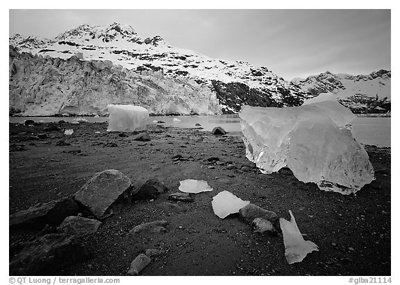 Beach, translucent iceberg, Lamplugh Glacier. Glacier Bay National Park (black and white)