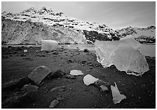 Beach, translucent iceberg, Lamplugh Glacier. Glacier Bay National Park, Alaska, USA. (black and white)