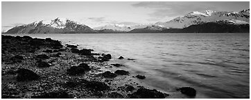 Fjord landscape with mountains rising above inlet. Glacier Bay National Park (Panoramic black and white)
