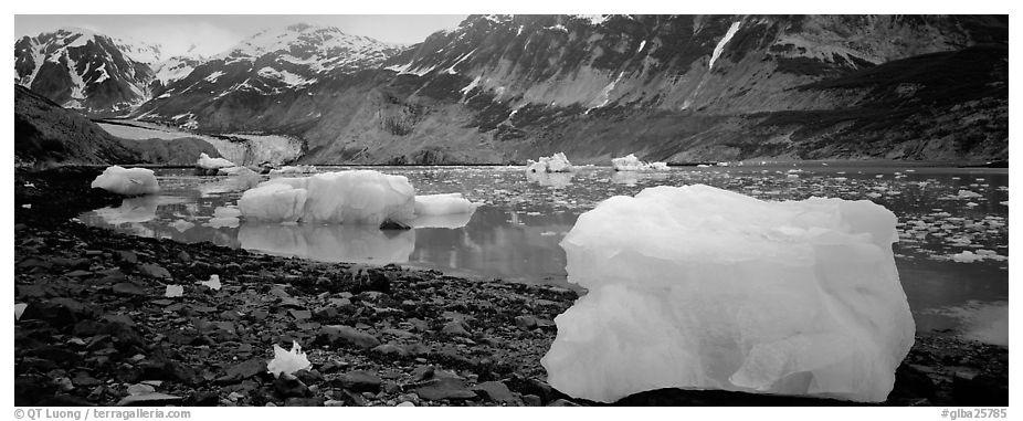 Glacial scenery with icebergs and glacier. Glacier Bay National Park (black and white)
