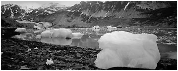 Glacial scenery with icebergs and glacier. Glacier Bay National Park (Panoramic black and white)