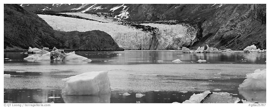 Glacier front and inlet. Glacier Bay National Park (black and white)