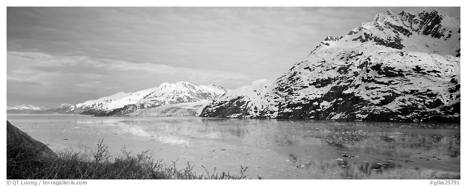 Snowy mountains rising above fjord. Glacier Bay National Park (black and white)
