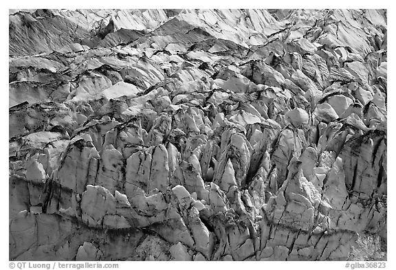 Crevasses and seracs of Reid Glacier. Glacier Bay National Park (black and white)