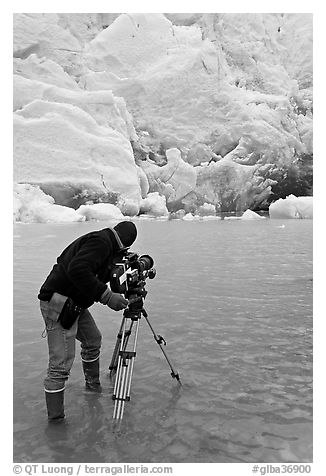 Cameraman standing in water with camera and tripod filming Reid Glacier. Glacier Bay National Park (black and white)