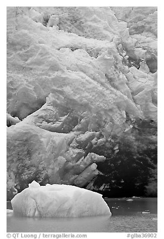 Iceberg and ice cave at the base of Reid Glacier. Glacier Bay National Park (black and white)