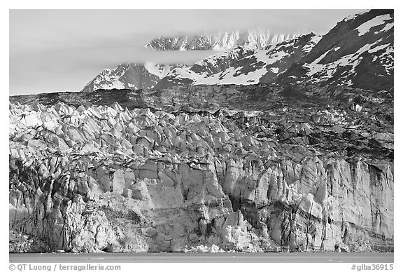 Ice face of Lamplugh glacier. Glacier Bay National Park (black and white)