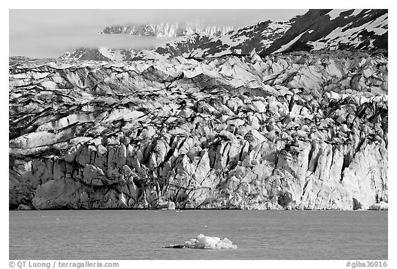 Iceberg and ice face of Lamplugh glacier. Glacier Bay National Park (black and white)