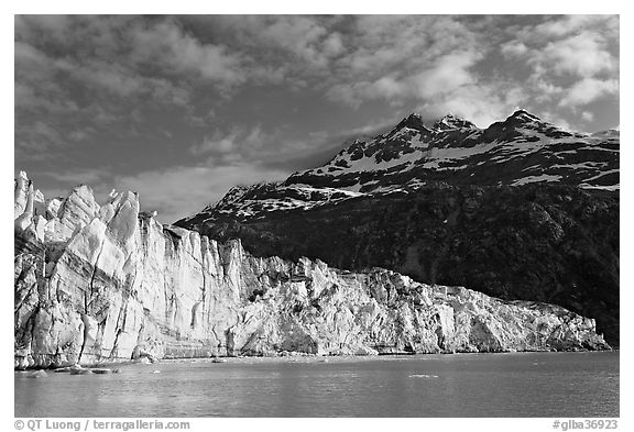 Lamplugh glacier and Mt Cooper, late afternoon. Glacier Bay National Park, Alaska, USA.