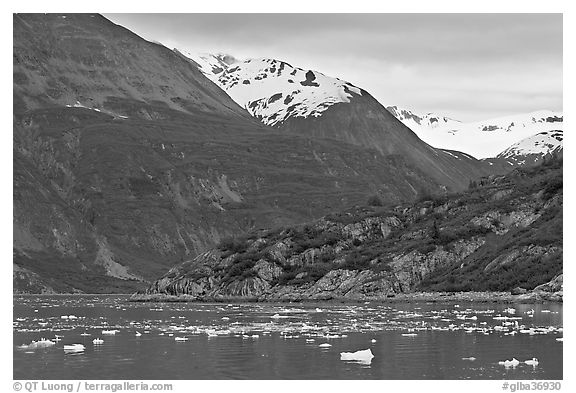 Ice-chocked cove in Tarr Inlet. Glacier Bay National Park (black and white)