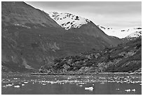Ice-chocked cove in Tarr Inlet. Glacier Bay National Park, Alaska, USA. (black and white)