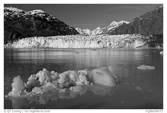 Iceberg, wide front of Margerie Glacier and Fairweather range. Glacier Bay National Park, Alaska, USA.