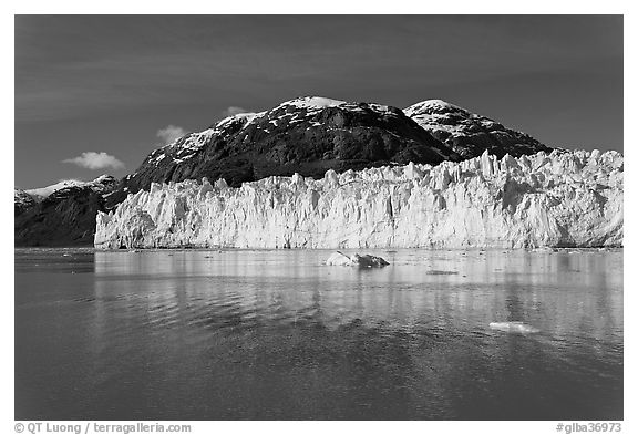 Wide front of Margerie Glacier and Tarr Inlet. Glacier Bay National Park (black and white)