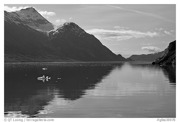 View looking out Tarr Inlet in the morning. Glacier Bay National Park (black and white)