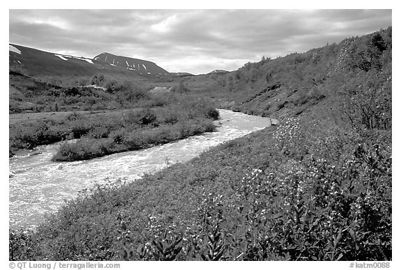 Wildflowers and Lethe river at the edge of the Valley of Ten Thousand smokes. Katmai National Park (black and white)