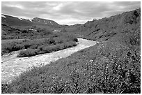 Wildflowers and Lethe river at the edge of the Valley of Ten Thousand smokes. Katmai National Park, Alaska, USA. (black and white)