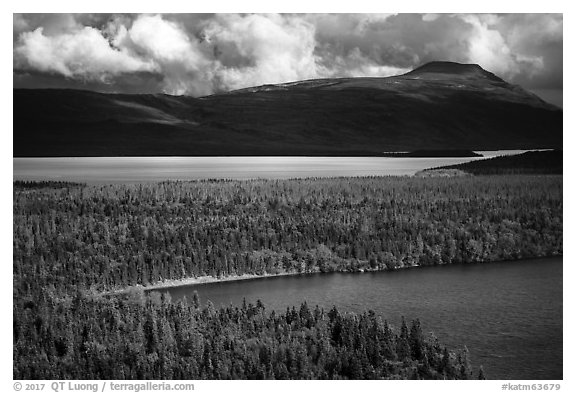 Aerial View of Lake Brooks and Naknek Lake. Katmai National Park (black and white)