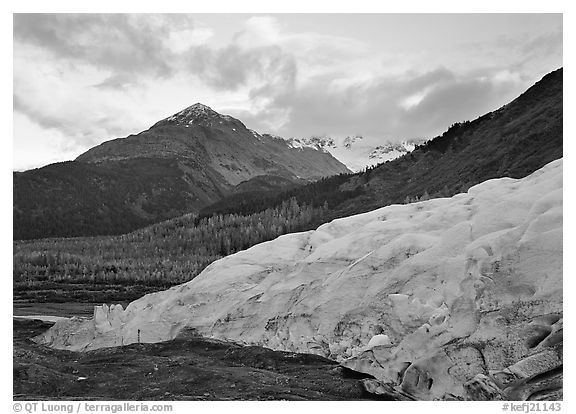 Exit Glacier and mountains at sunset, 2000. Kenai Fjords National Park (black and white)