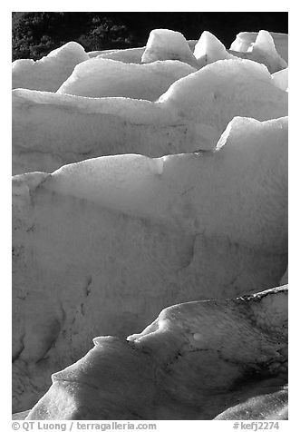Ridges of blue ice at the terminus of Exit Glacier. Kenai Fjords National Park (black and white)