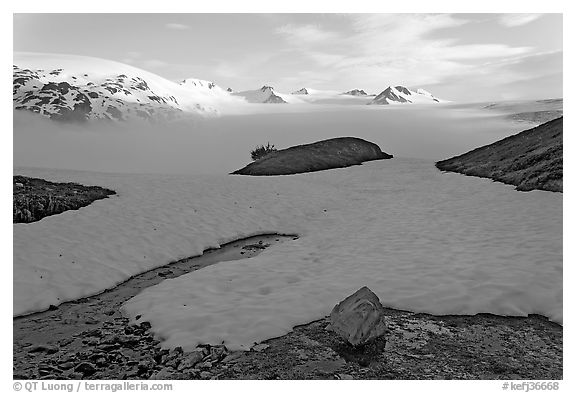Melting neve in early summer and Harding ice field. Kenai Fjords National Park (black and white)