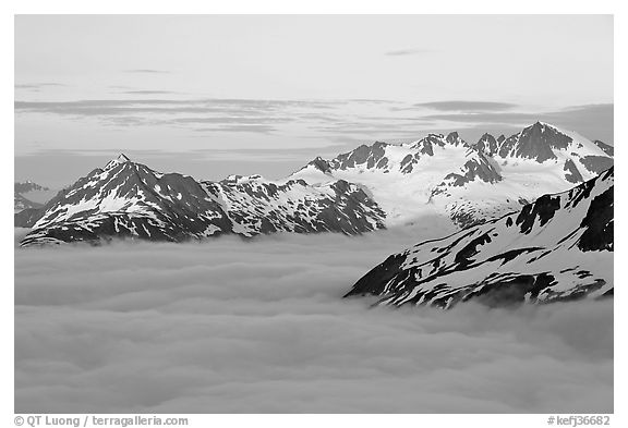 Midnight sunset on peaks above clouds. Kenai Fjords National Park (black and white)