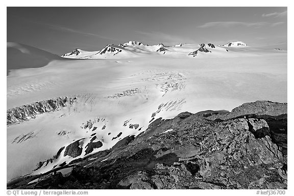 Lichen-covered rocks and Harding ice field. Kenai Fjords National Park (black and white)